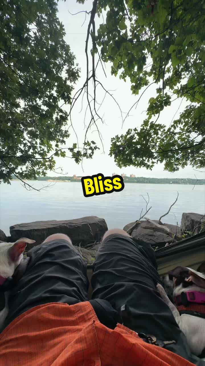 @The Bells
