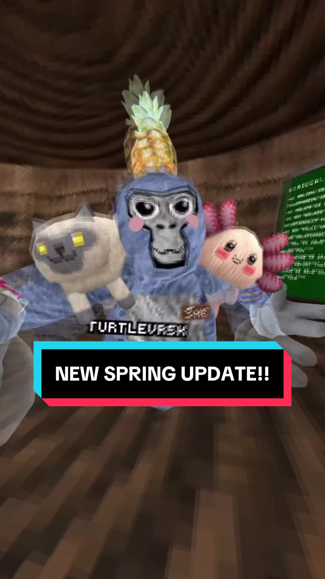 @💕TurtleVr🐢