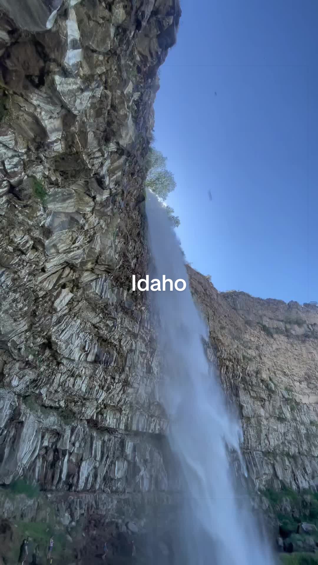 @no.media