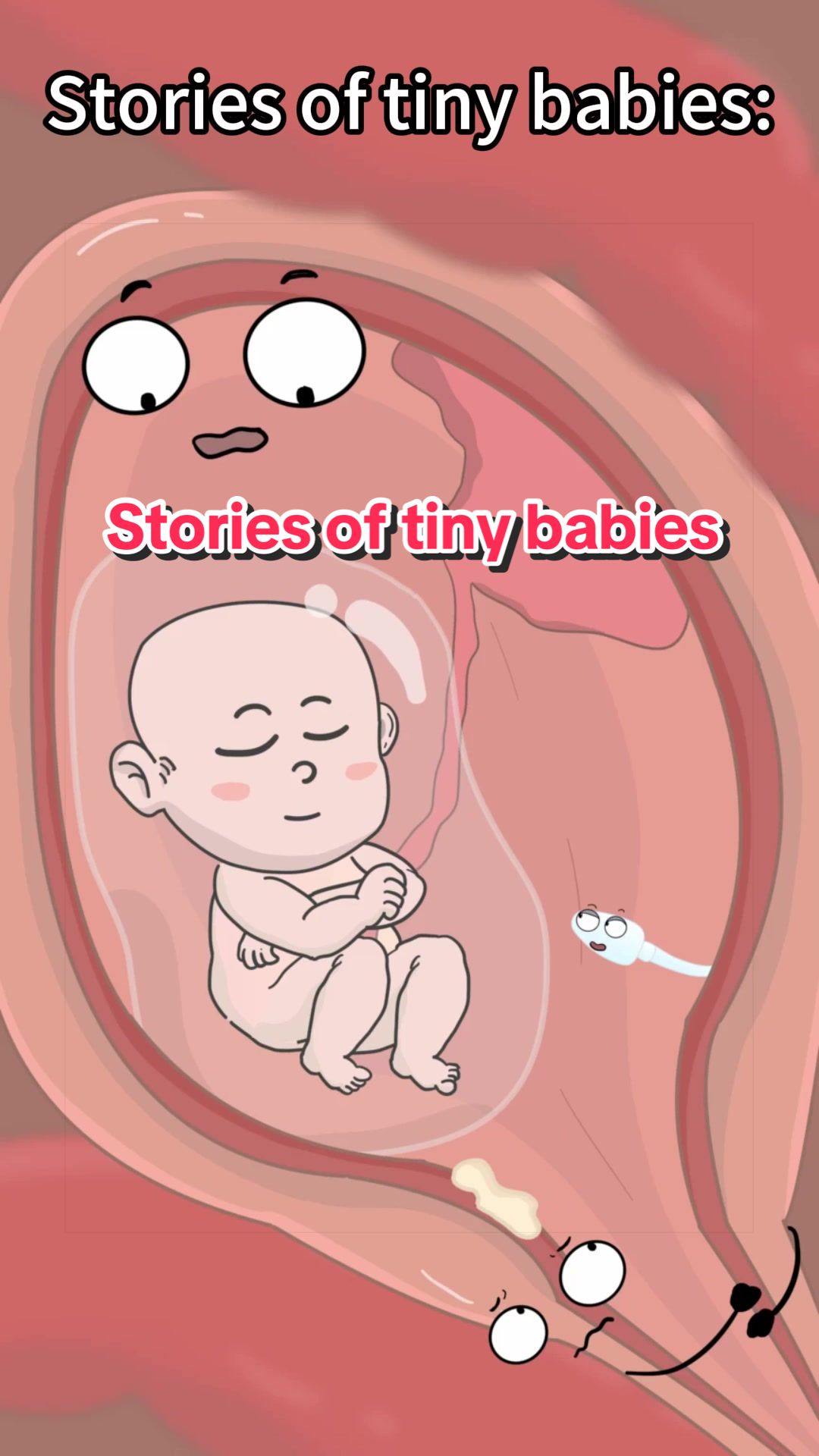 @Funny Animations