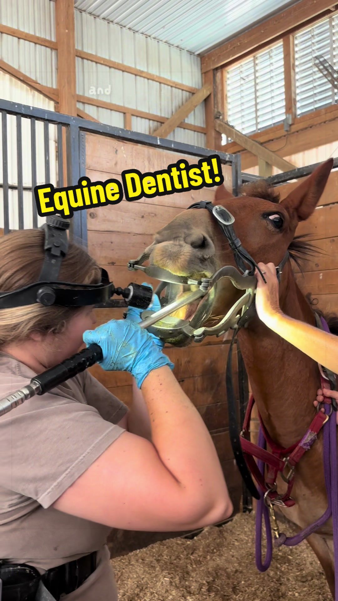@Days End Farm Horse Rescue