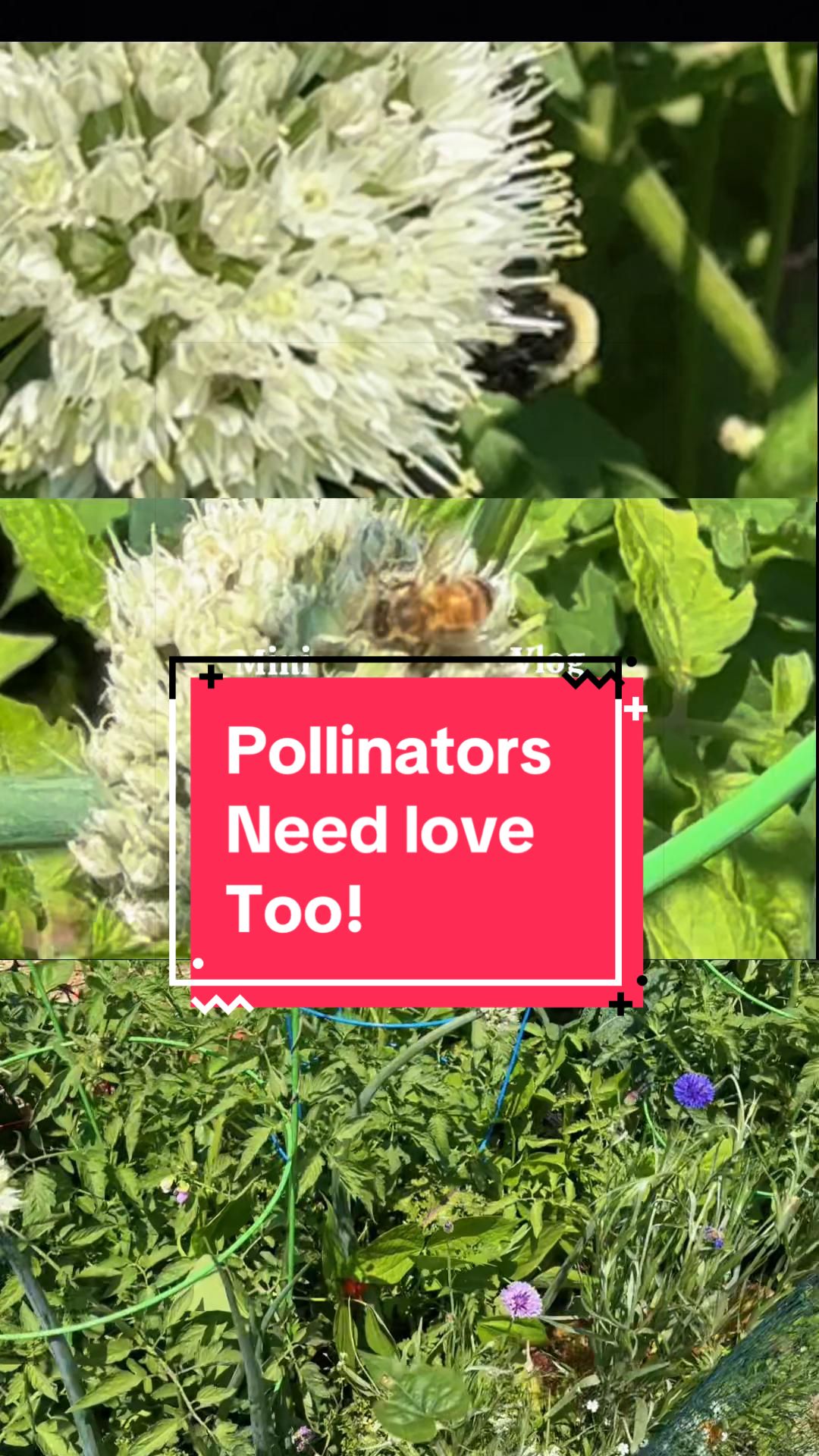 @greengirlgardens