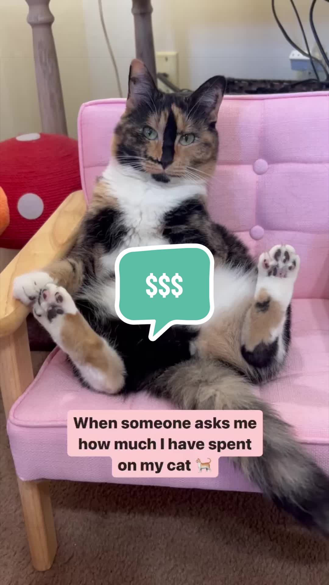 @SnickersTheSmilingCat