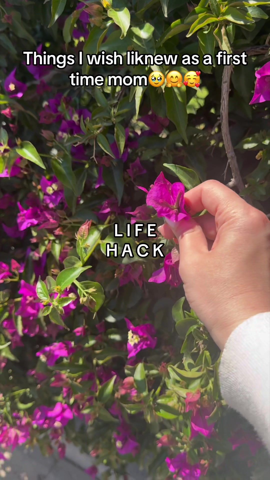 @Mrs V Lifehacks
