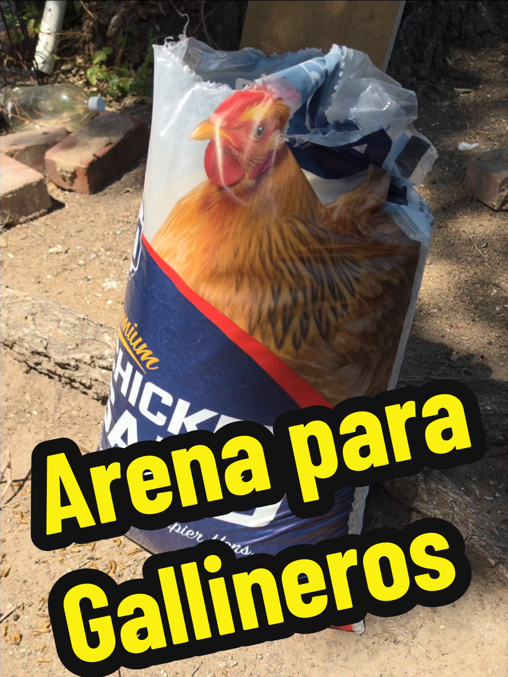 @BetO MendozA