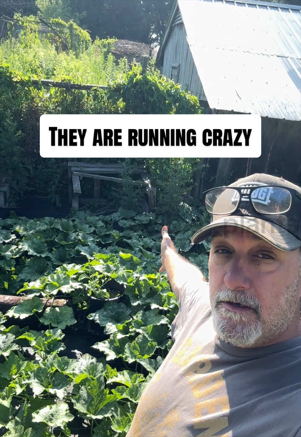 @GROWING_EDIBLE_PLANTS
