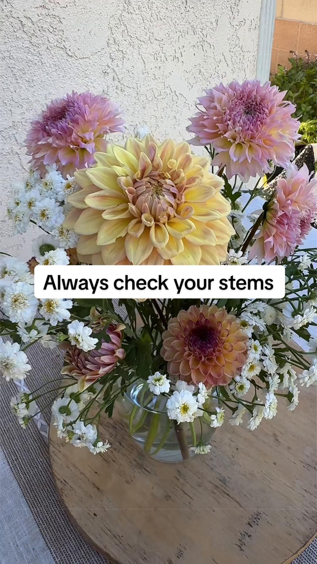 @Rylee’s Blooms