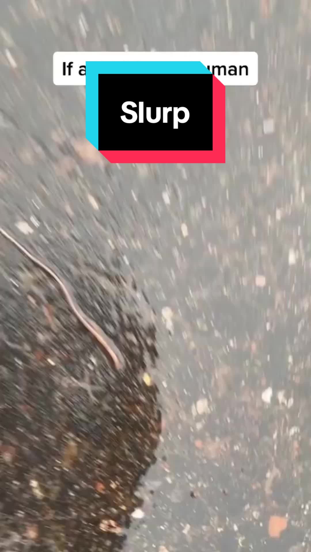 @Bassinwithjay