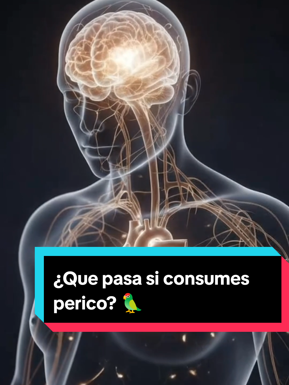 @El Dato