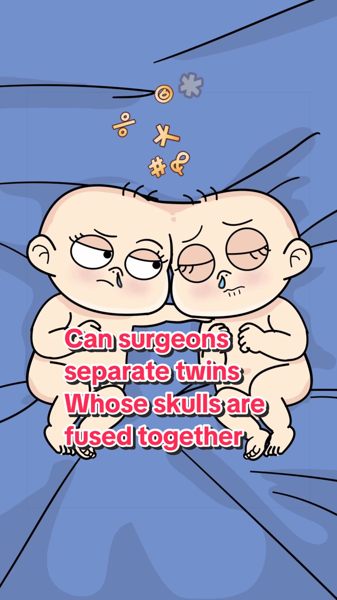 @Funny Animations