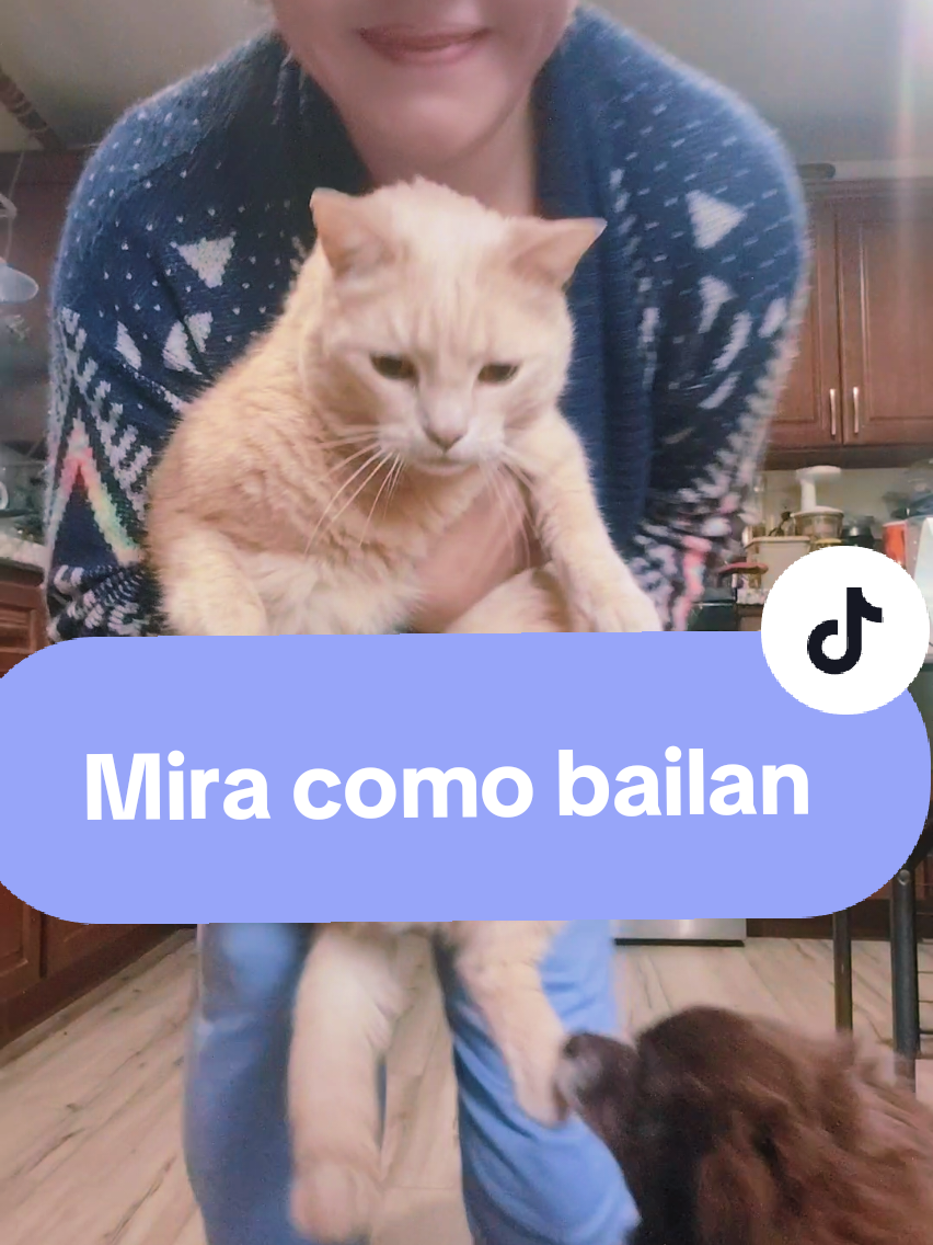 @Alexandra Santillan