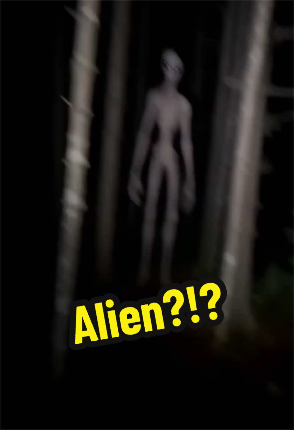 @CryptidClips