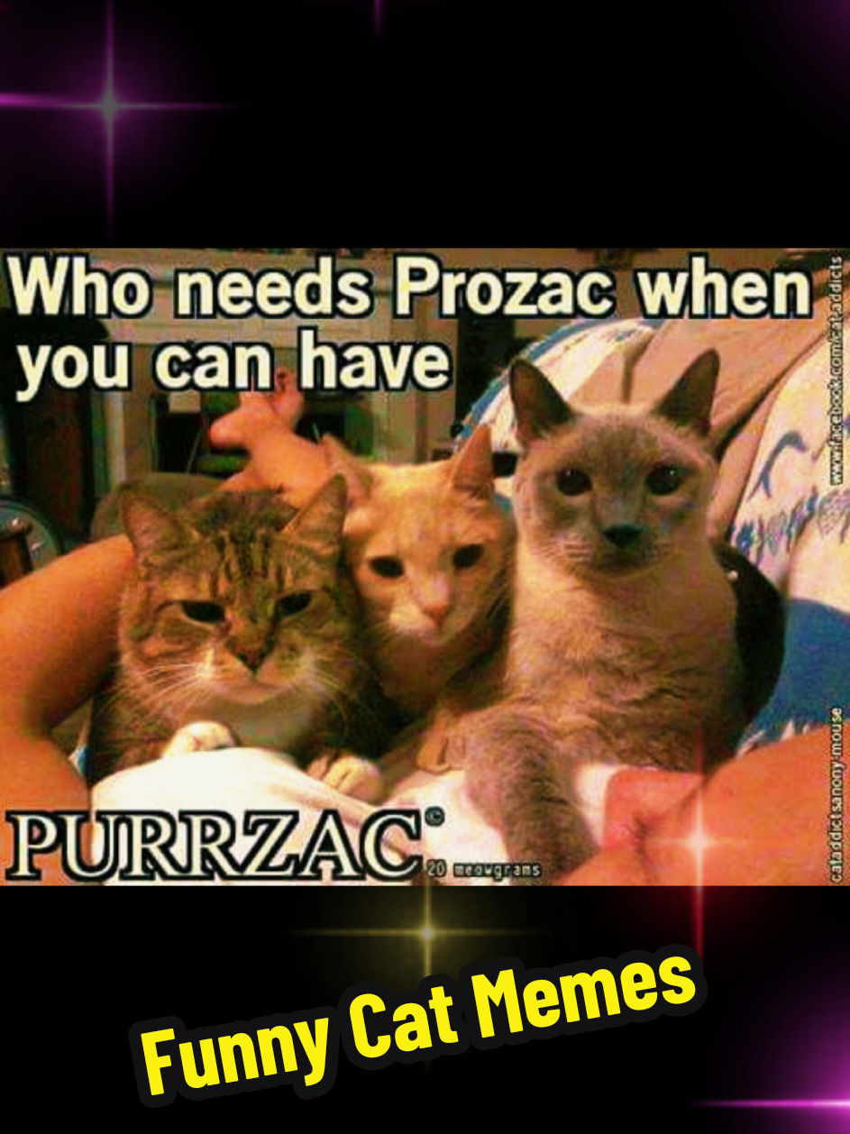 @MOTHEROFCATZ777