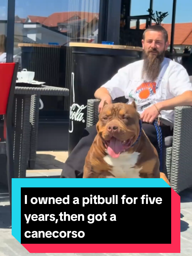 @The pet post
