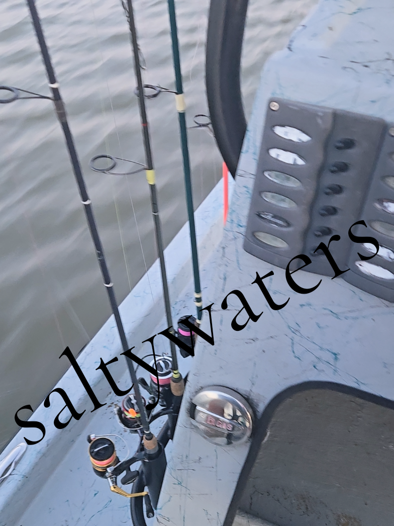 @saltwaters361