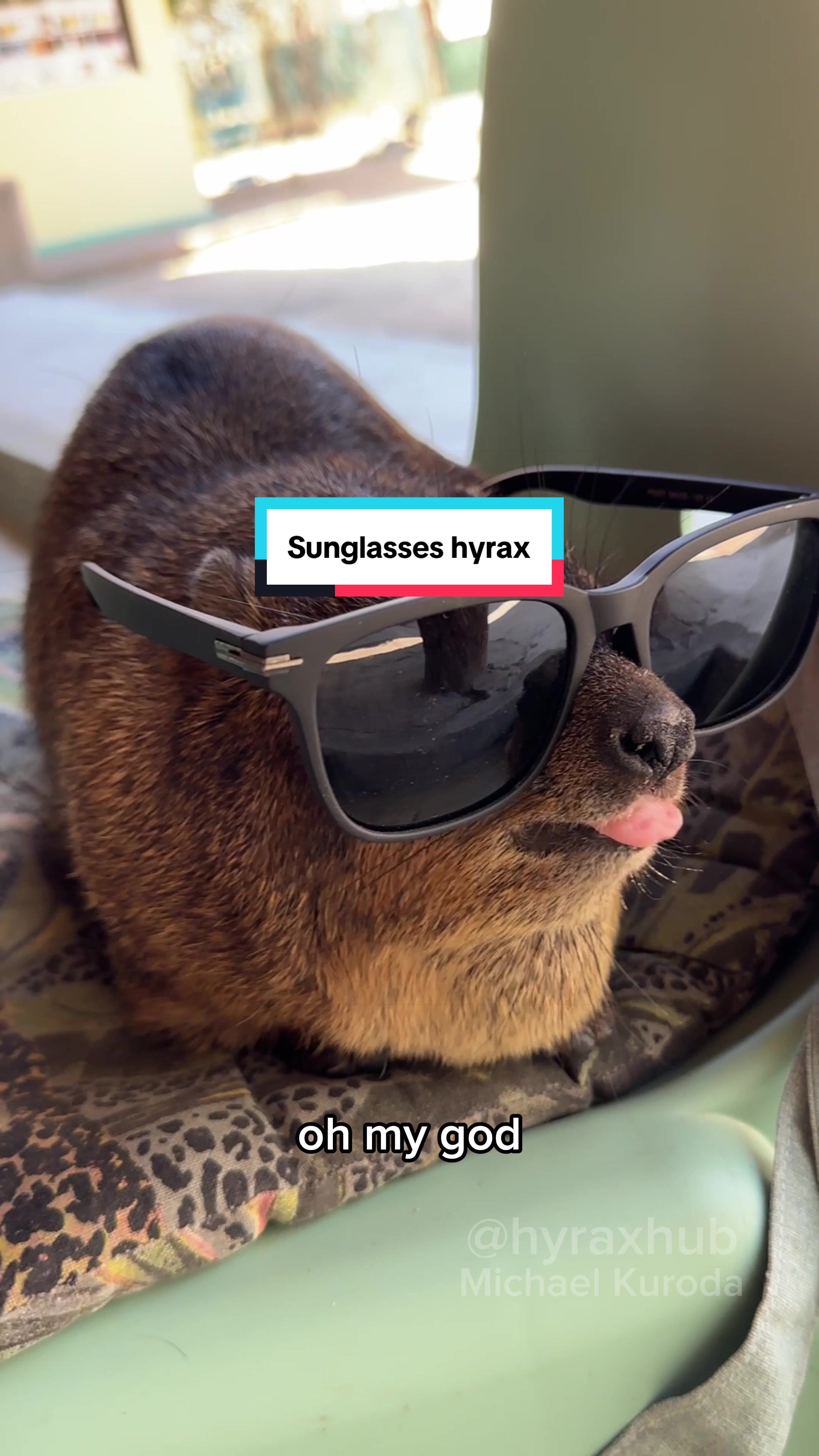 @Hyraxhub