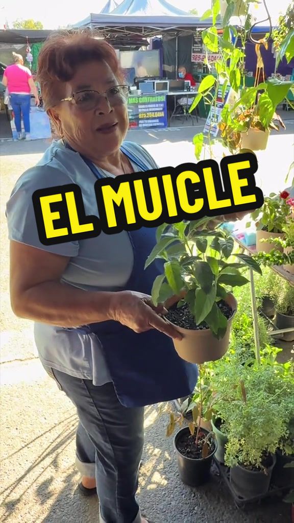 @Los Hernández