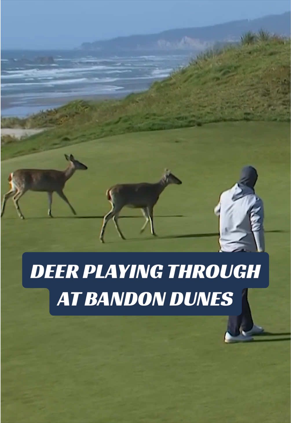 @Golf Channel