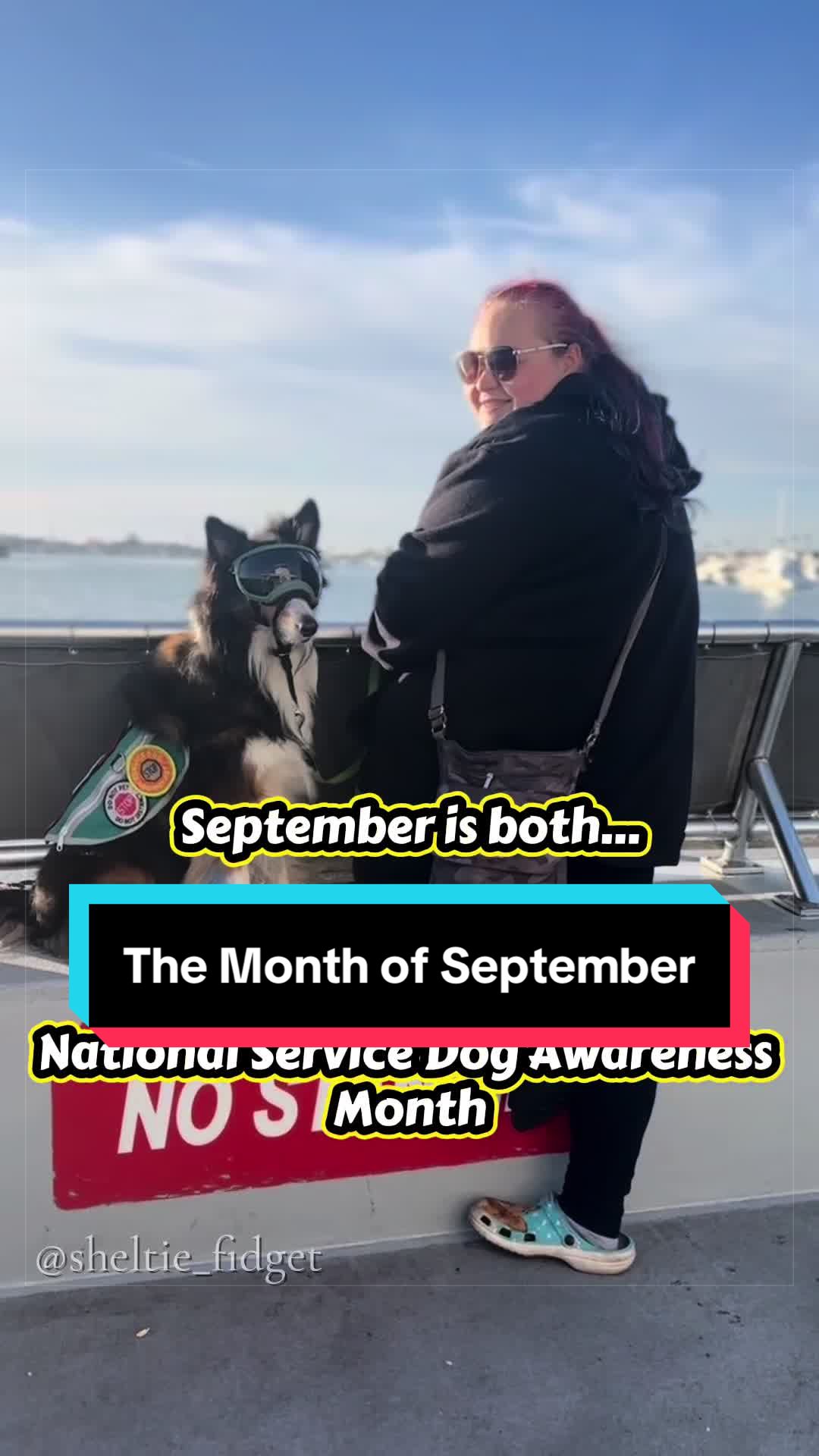 @Dakota & Pups