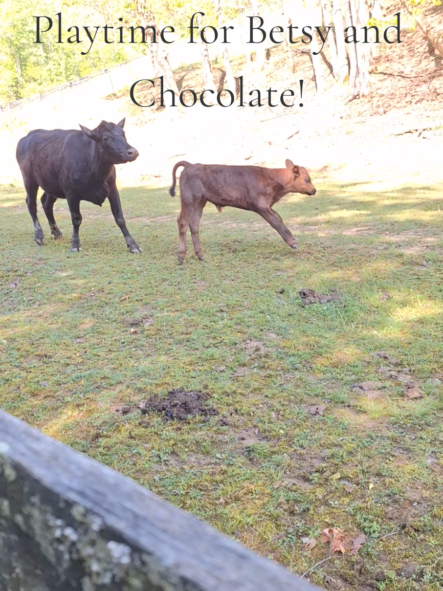 @Grand_Hill_Farm