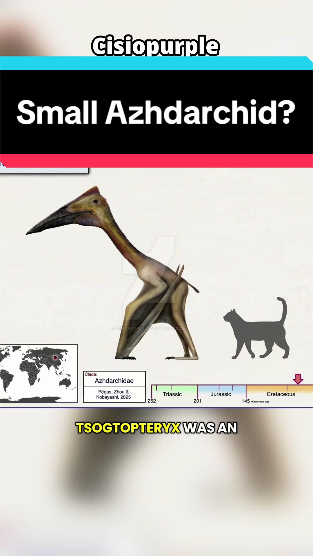 @Dino Guy