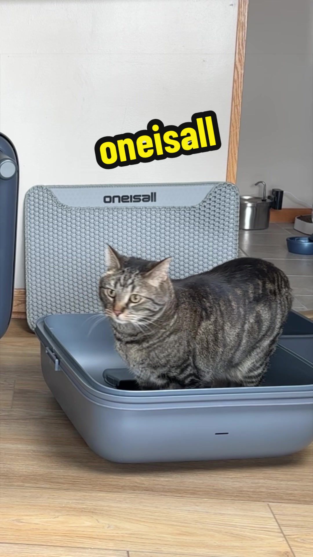 @Chip The Manx