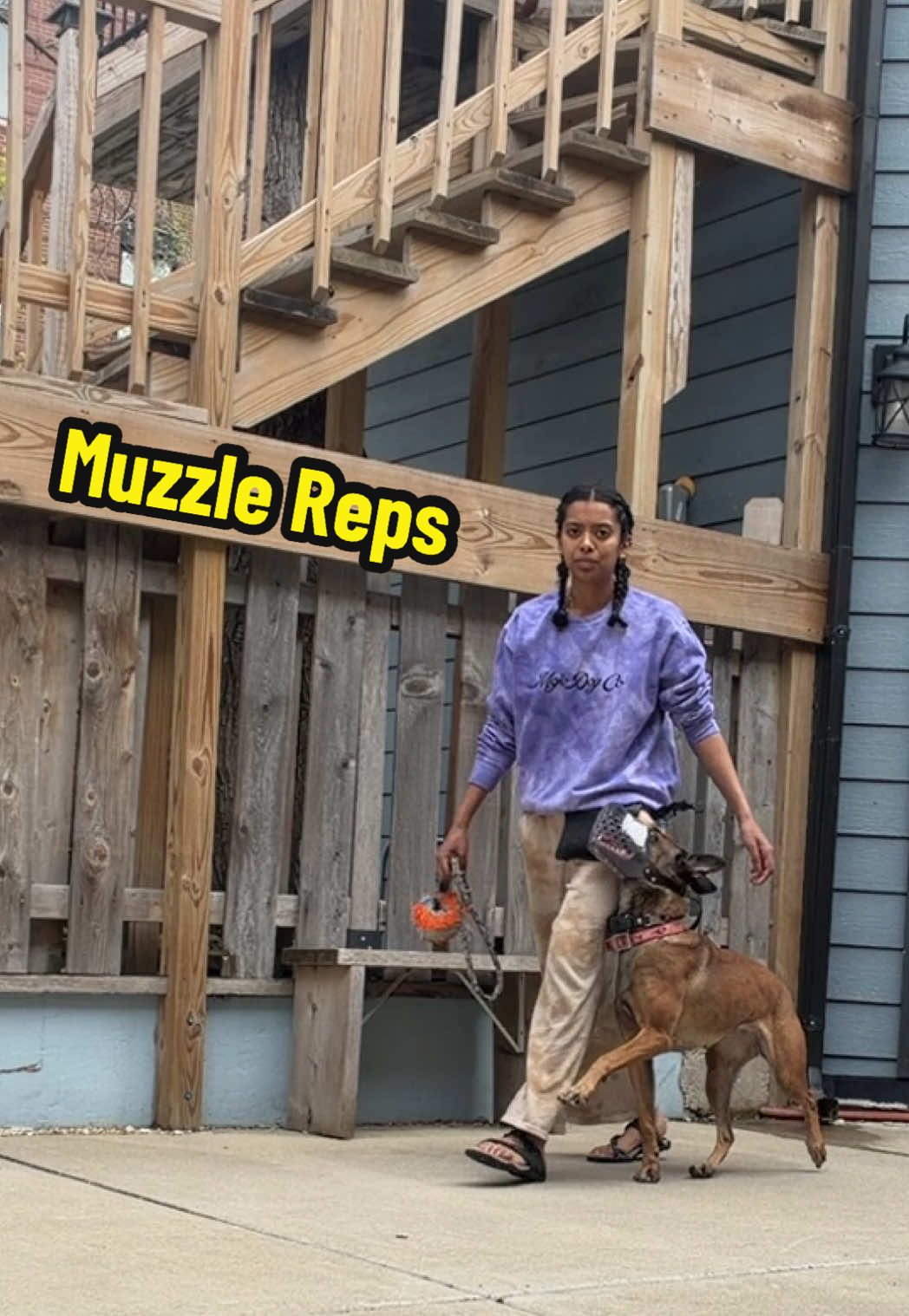 @dogstrainjen