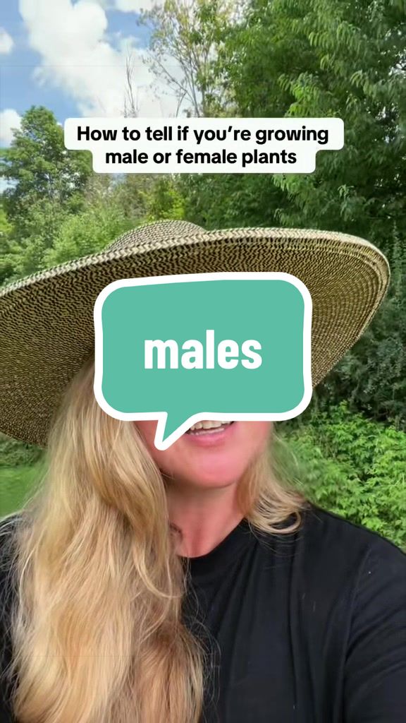 @She Grows At Home ๐