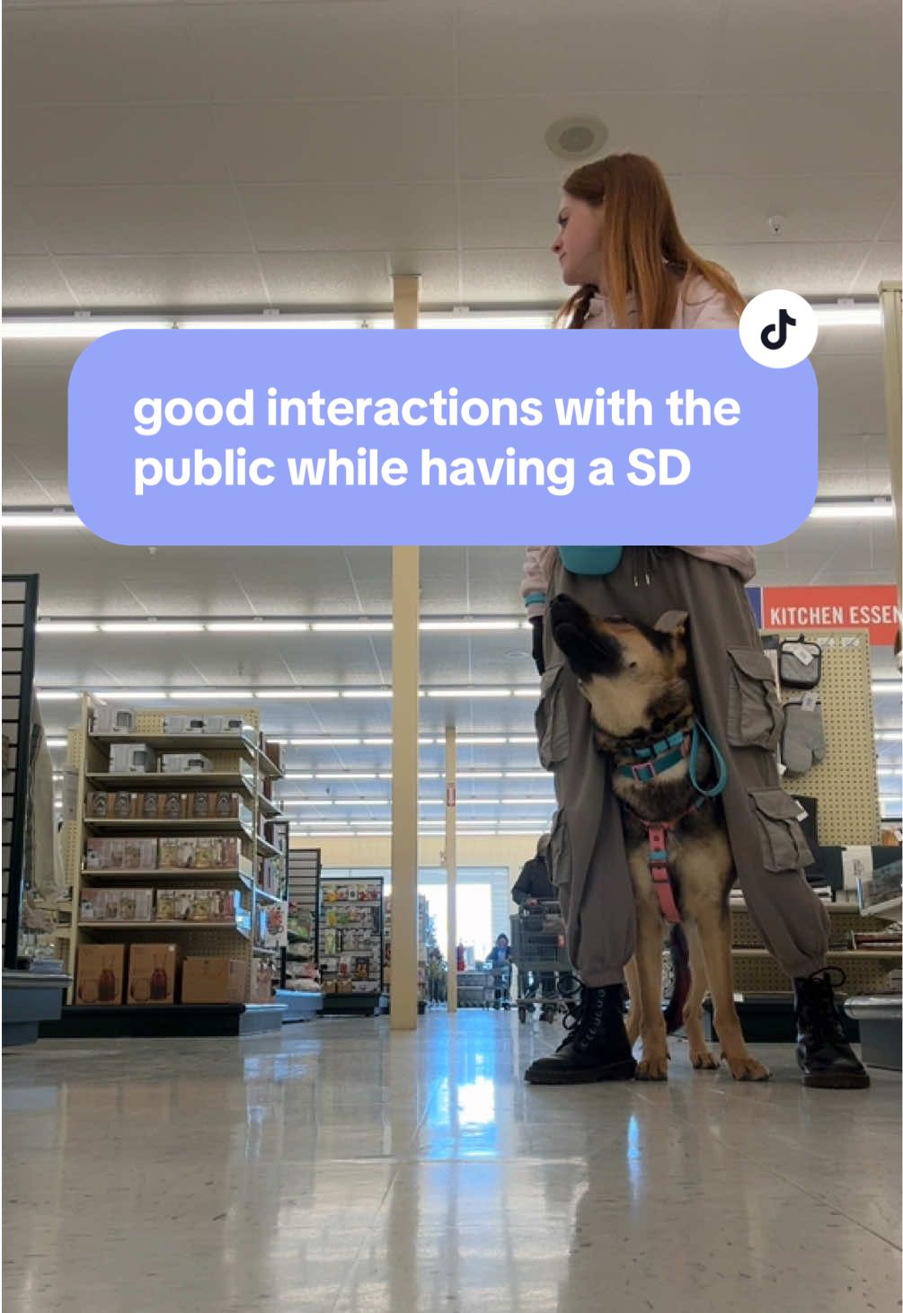 @Kay and Kipper 🐕