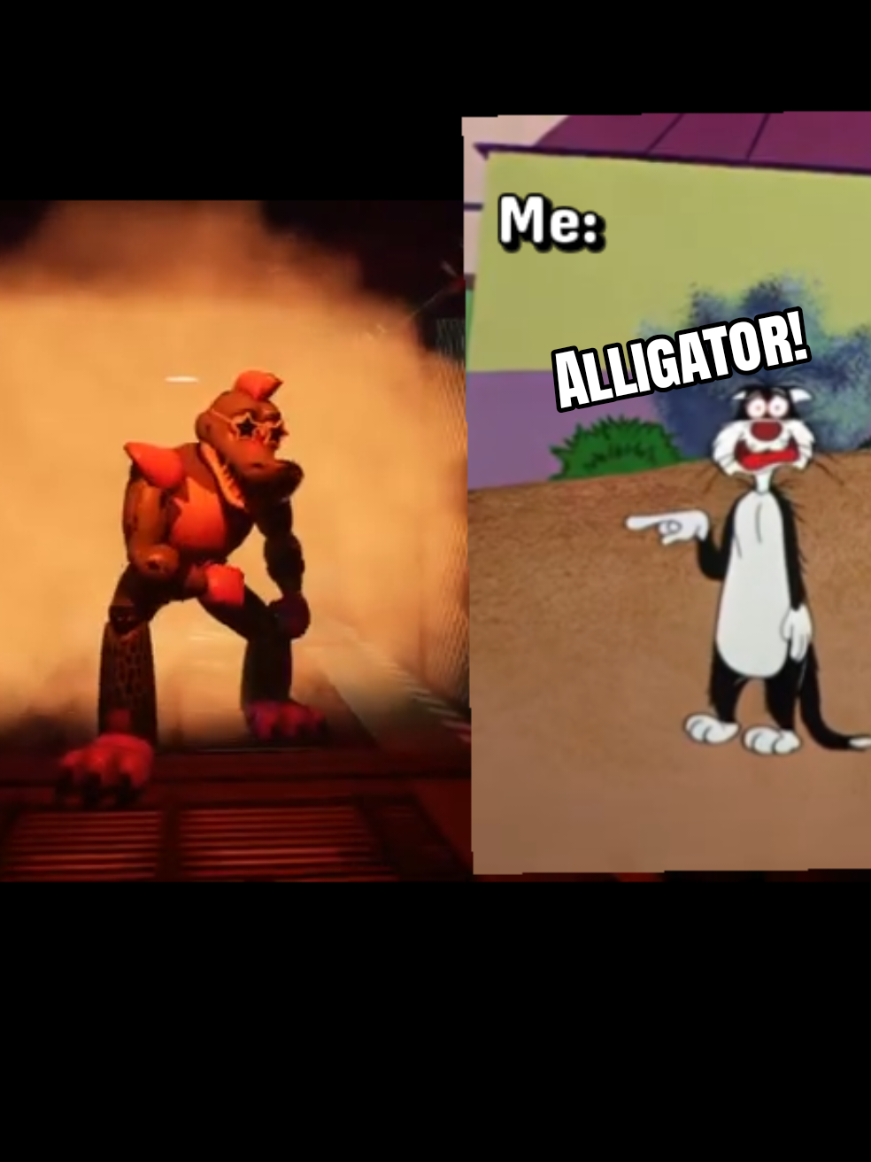@FERGINATOR