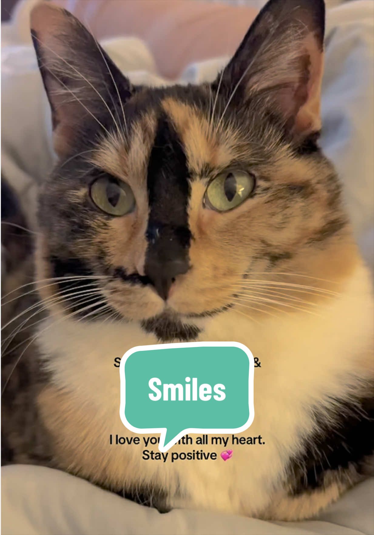@SnickersTheSmilingCat