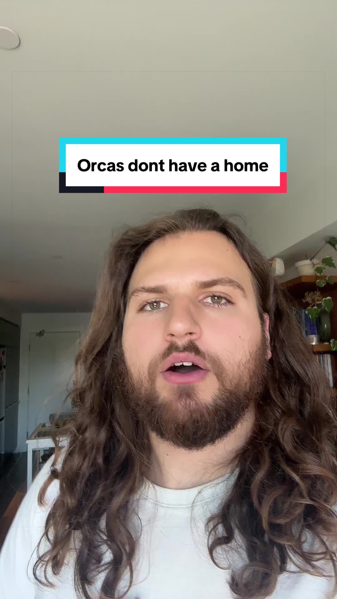 @The Orca Man