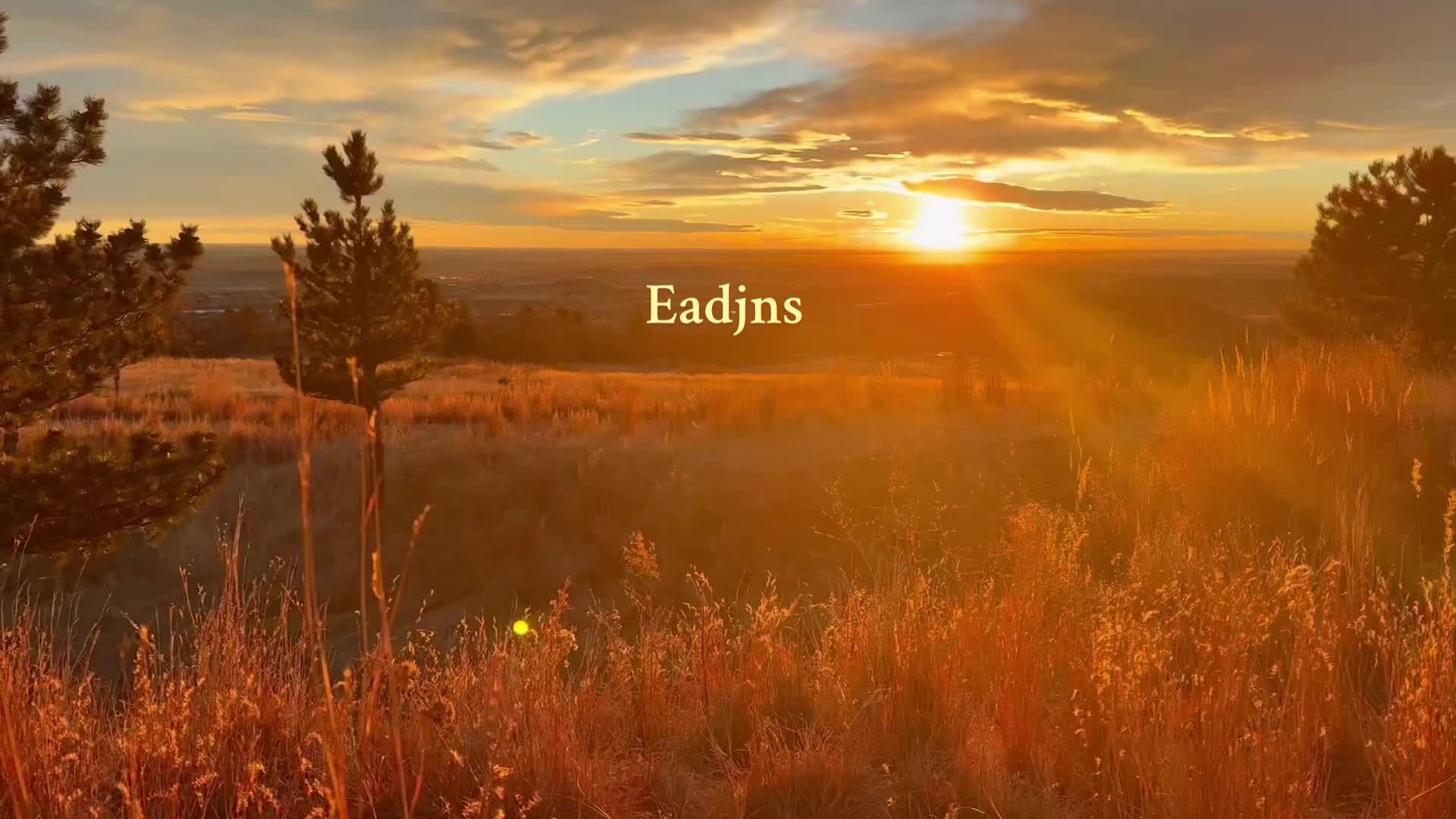 @eadjns