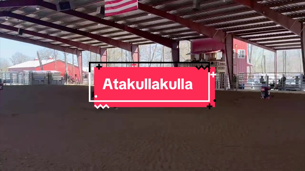 @haleybrookea24