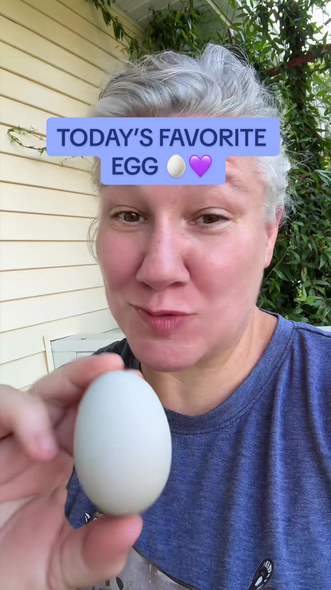 @Amy Jo | Eggnigma Holler 🐔