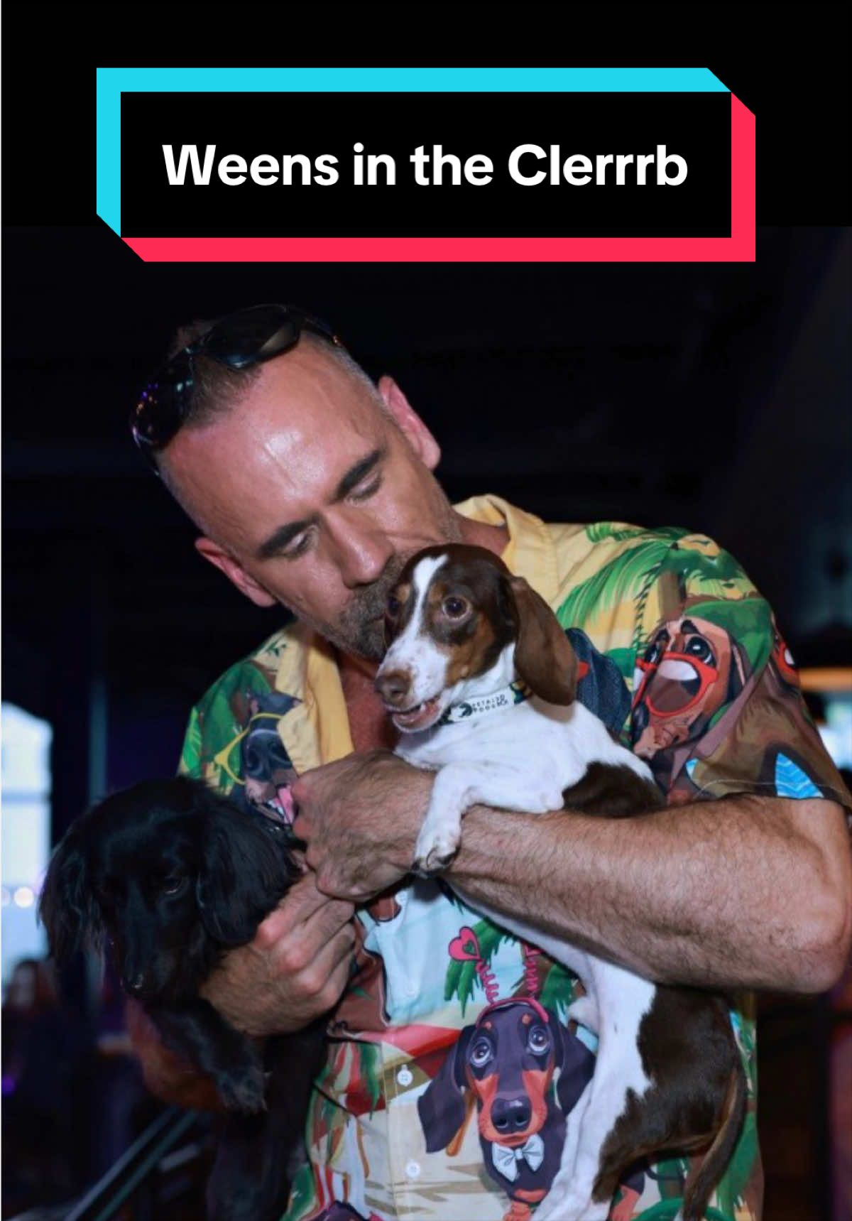 @dr.adam_christman_Veterinarian
