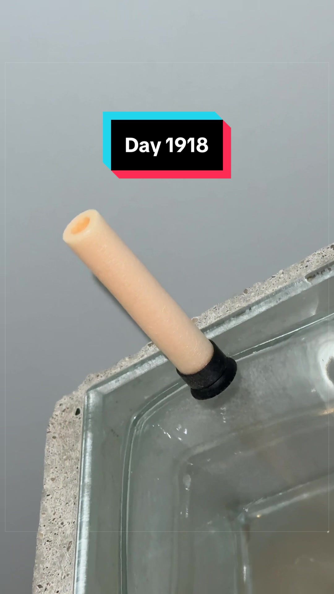 @The Immortal Nerf Dart