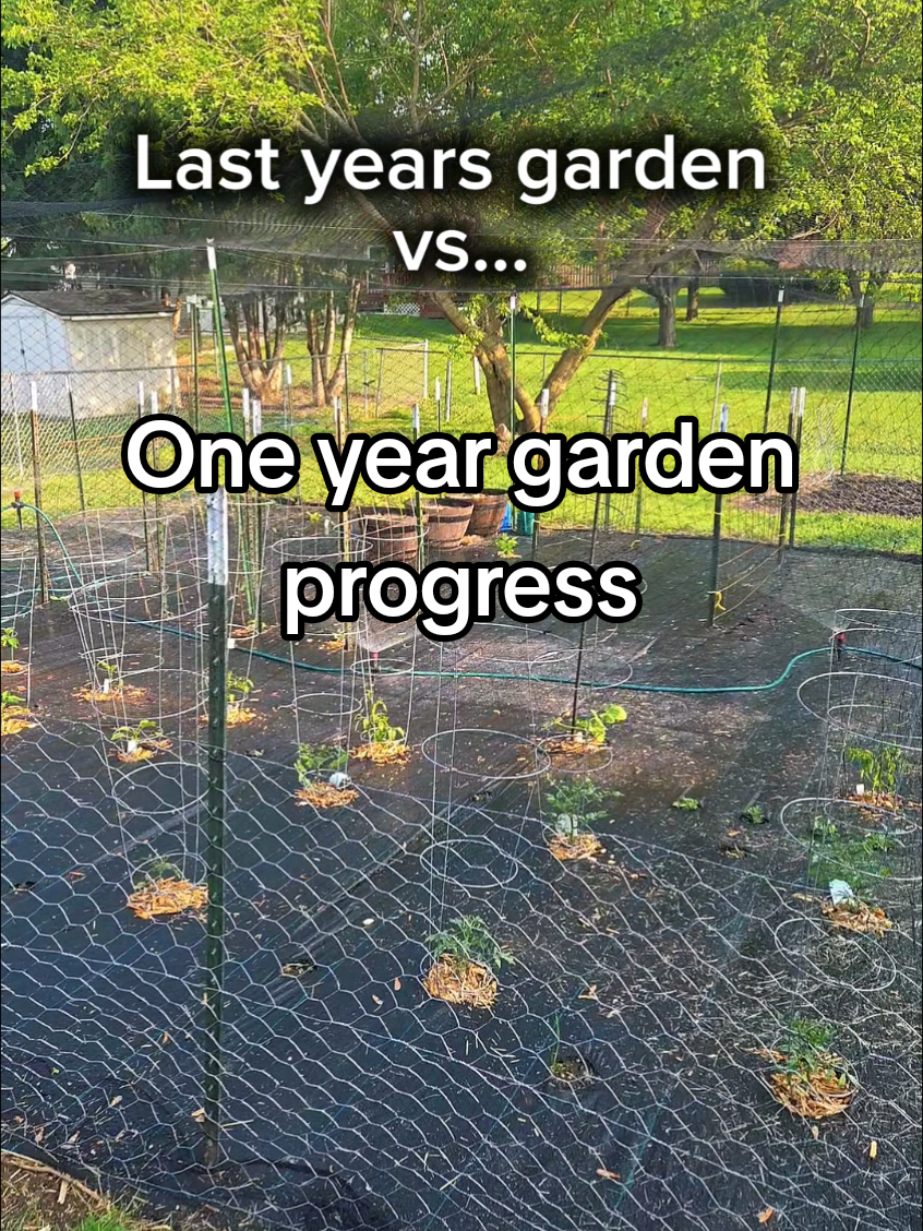 @Backyard Built