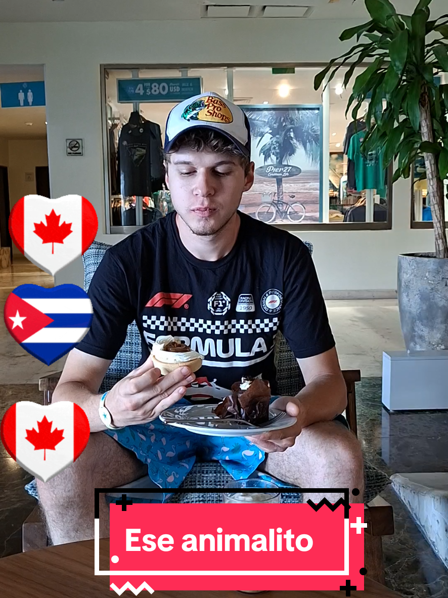 @vvdiasdplaya