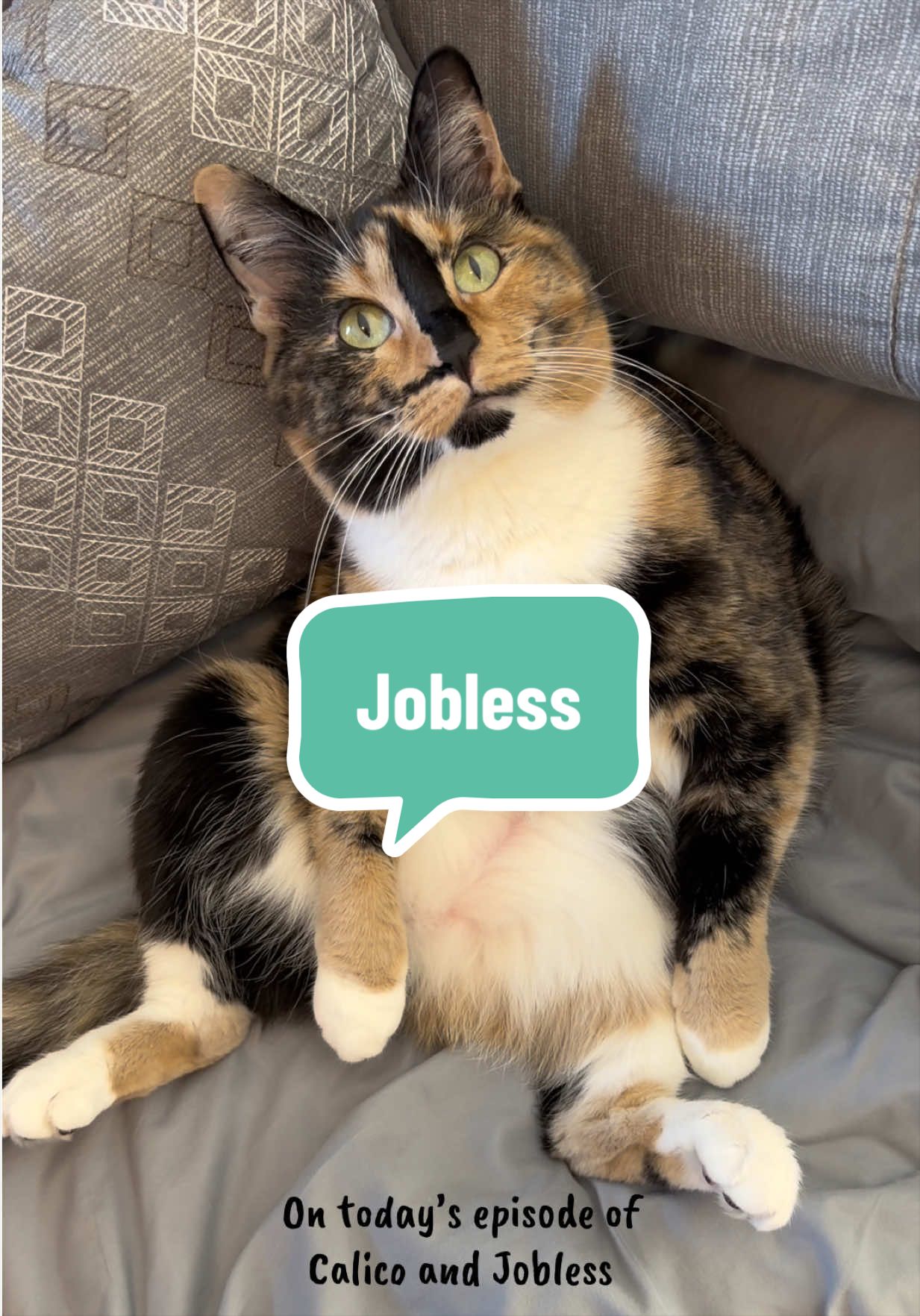@SnickersTheSmilingCat