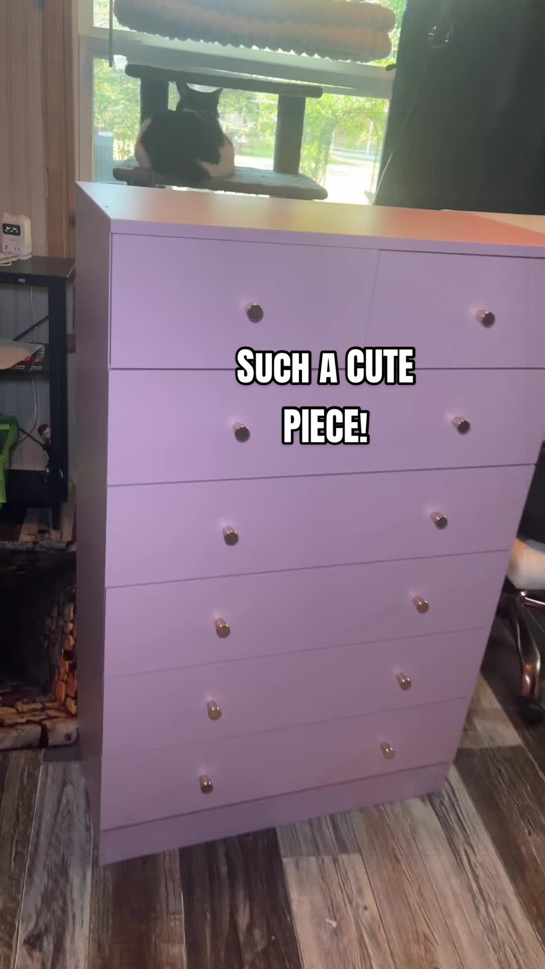 @Mrs. Kitty