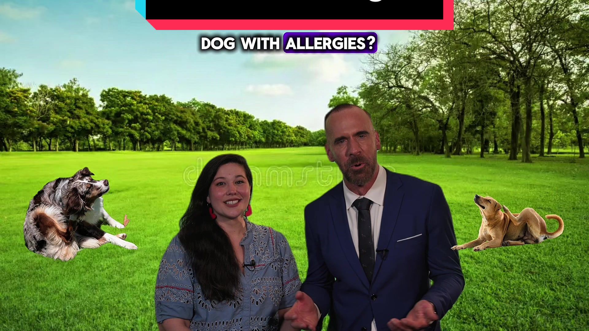 @dr.adam_christman_Veterinarian