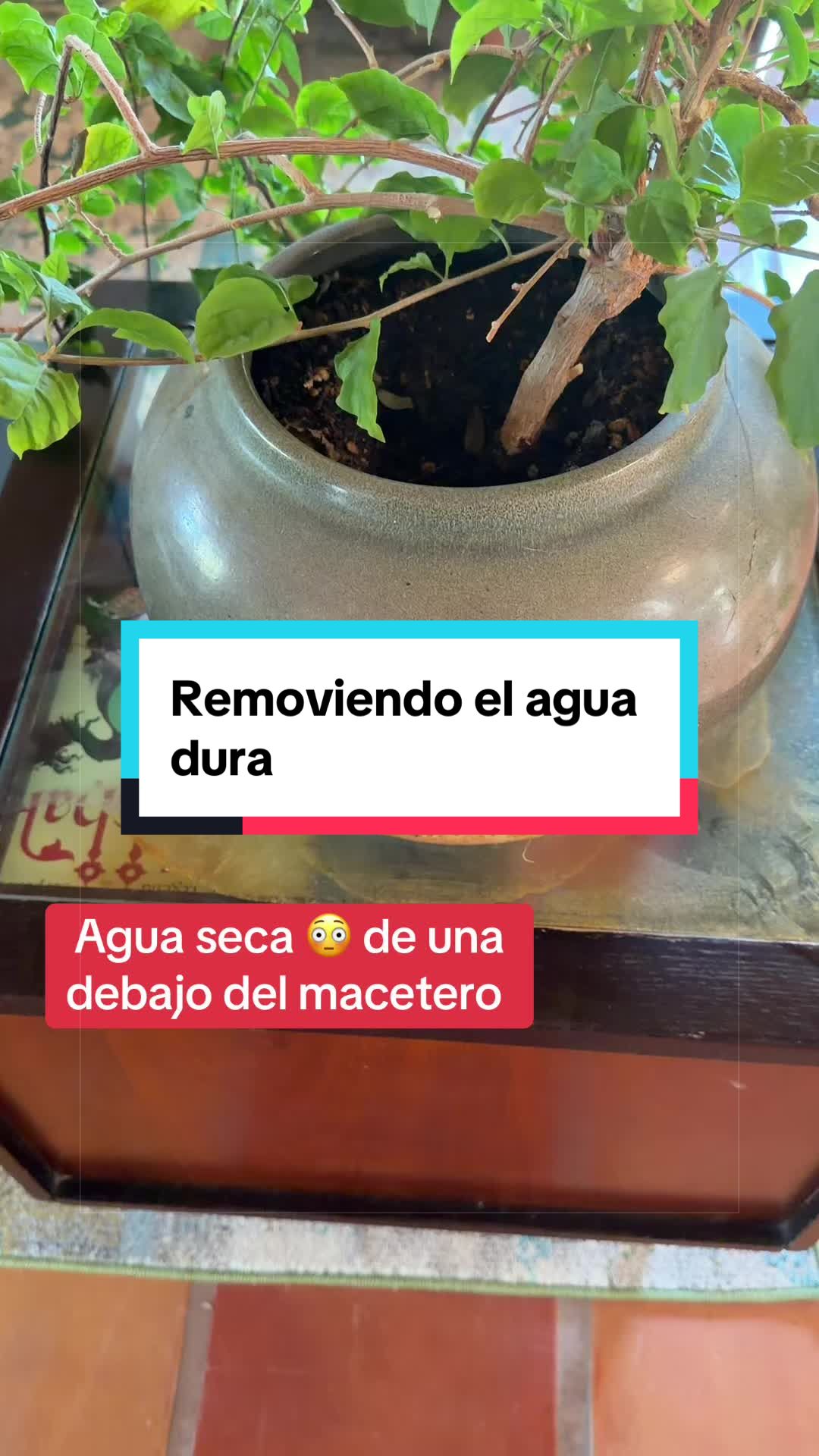 @Azu 💙🥀