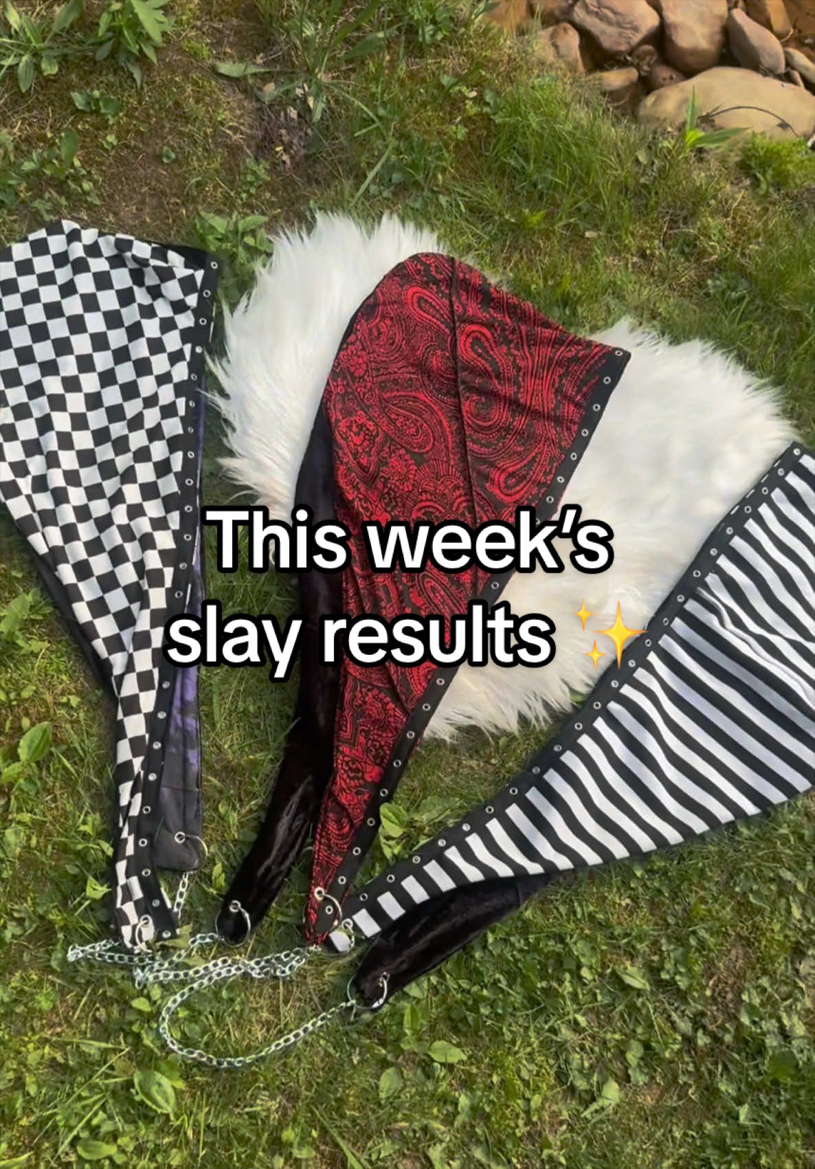 @MIR 🐆