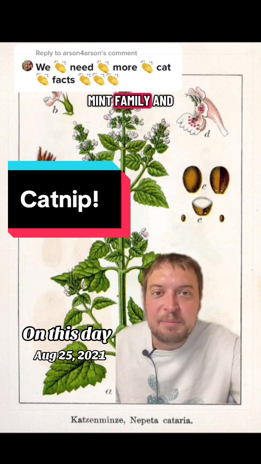 @Dexter.mp4