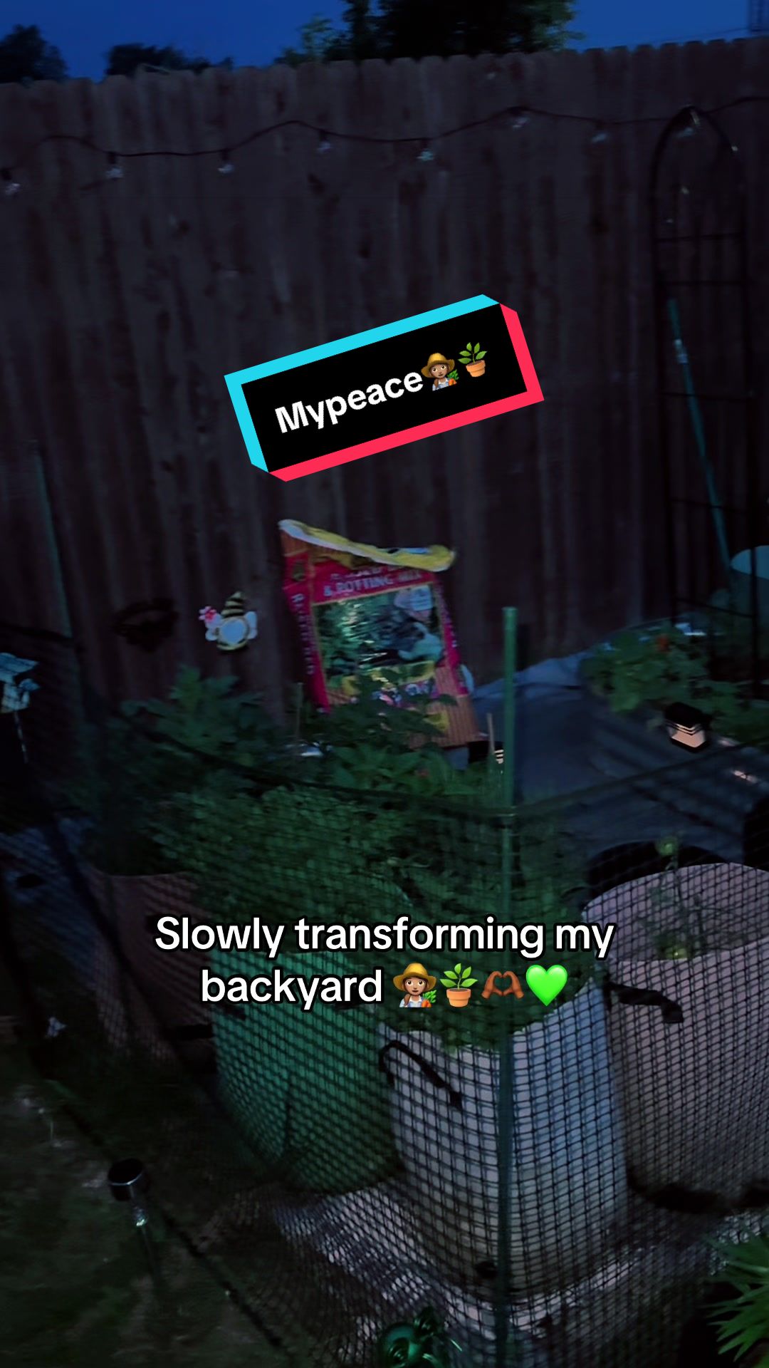 @TeeTee ❌♋️🦀