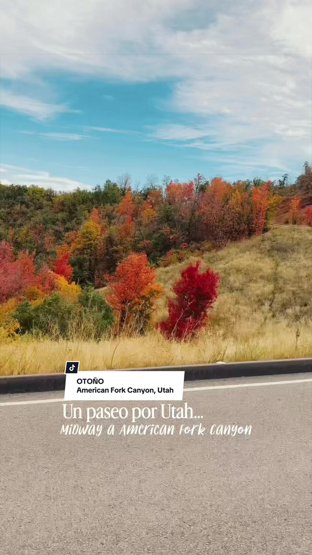 @Jely | Utah Creator