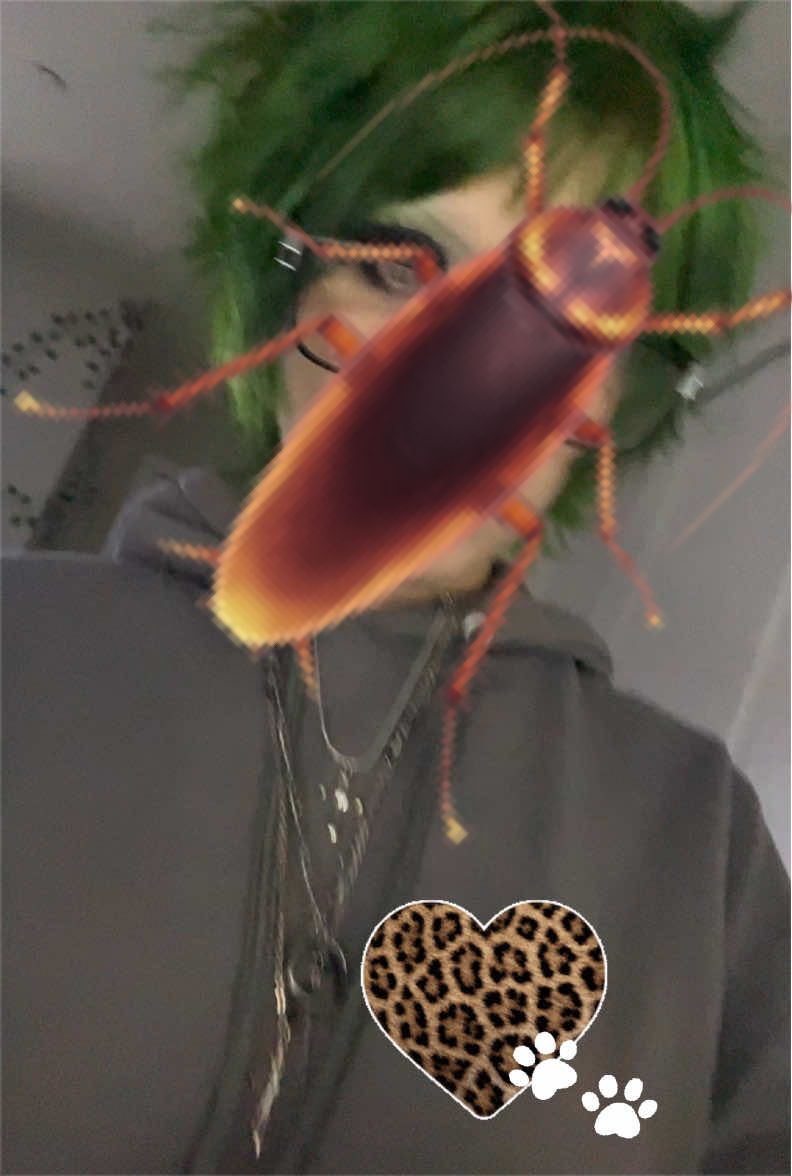 @๐๐๐๐๐ ๐จ
