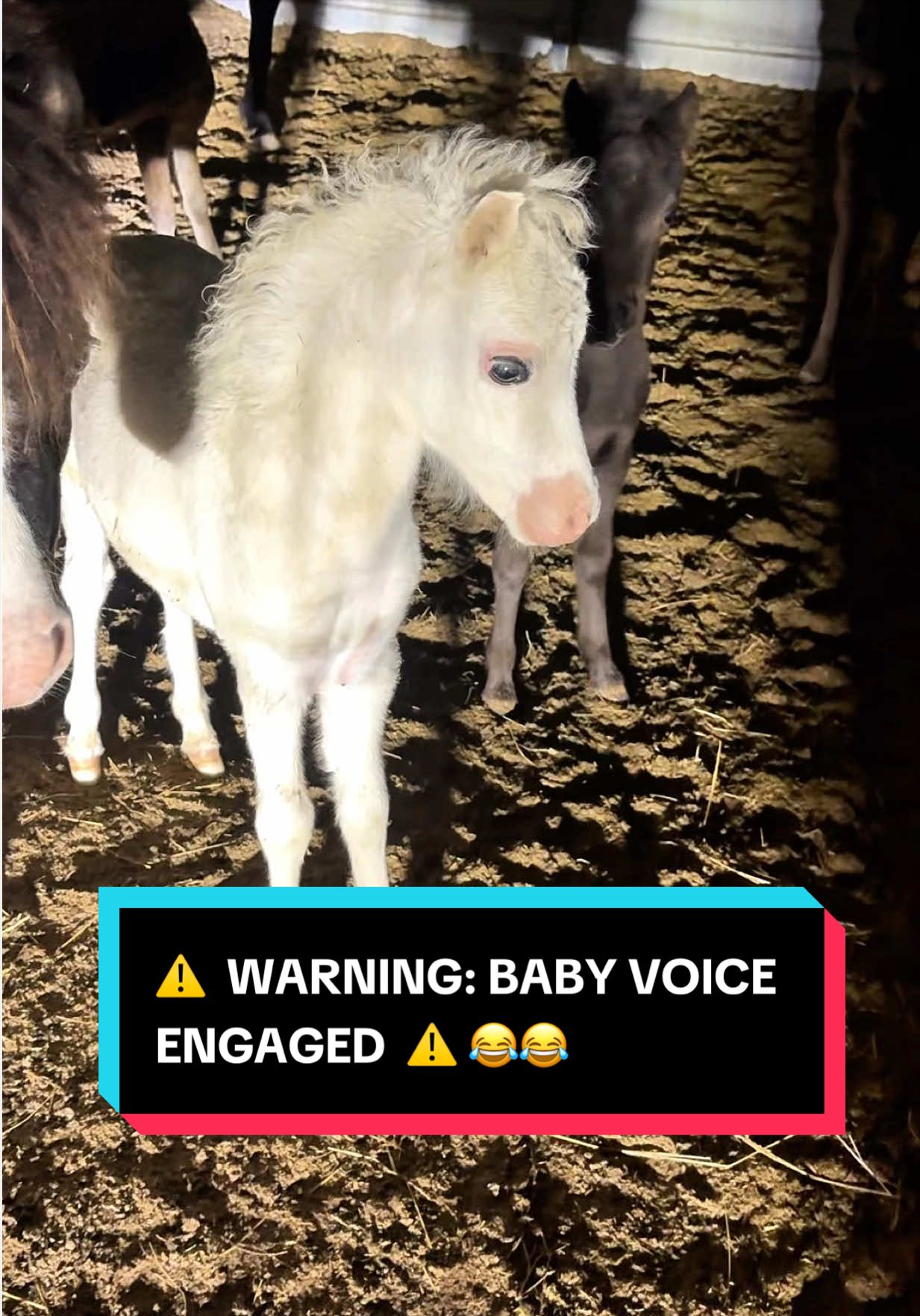 @Dr.Nicole-VetMed