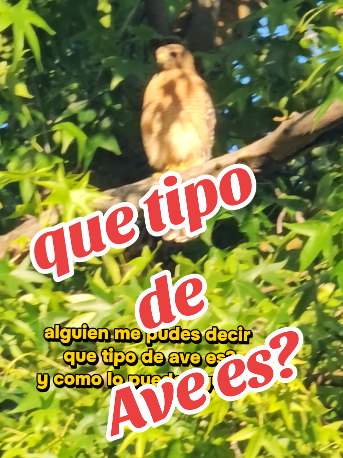 @☆𝐿𝒜 𝐵𝒜𝐵𝒴 𝑀𝒪𝐿𝐿𝒴☆♕